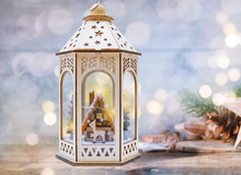 Load image into Gallery viewer, Snow Lodge